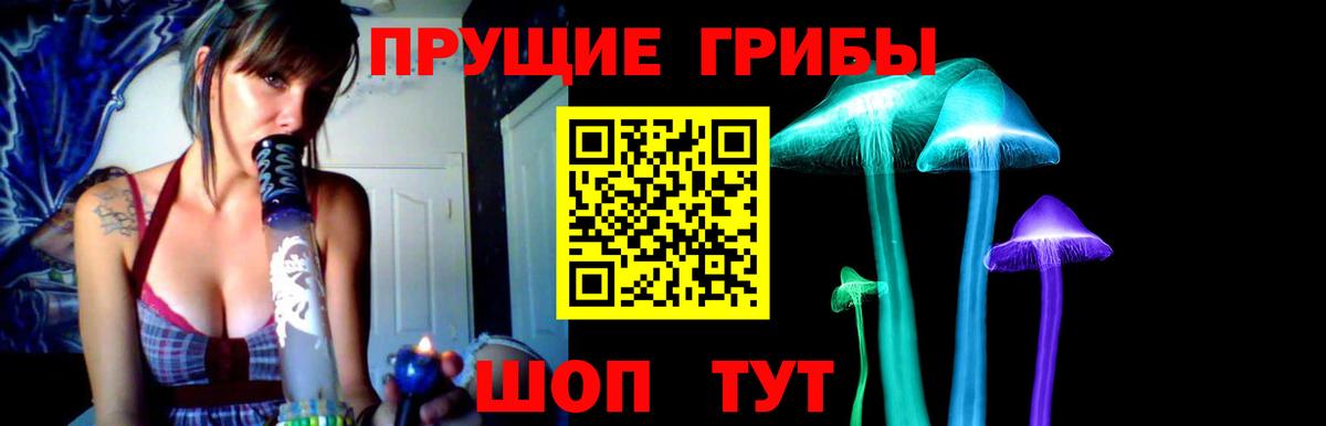 Долгопрудный  Псилоцибиновые грибы Cubensis  Вход с VPN  Галлюциногенные грибы ЛСД 